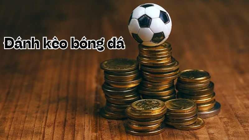 Soi kèo bóng đá giữa trận đấu Ba Lan và Hà Lan